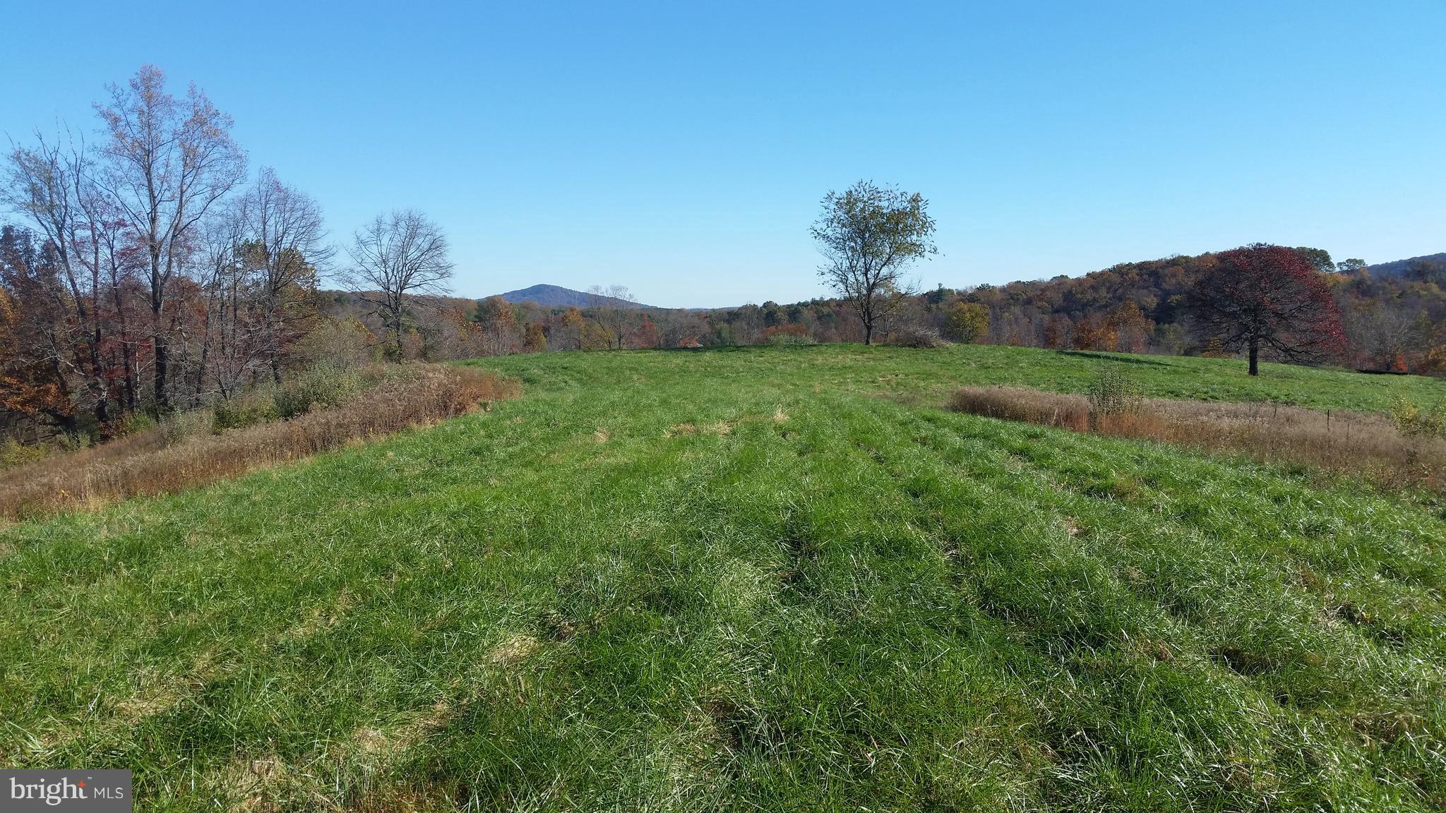 687 Scrabble Road Castleton, VA 22716 - Photo 3 of 13 a view of a mountain