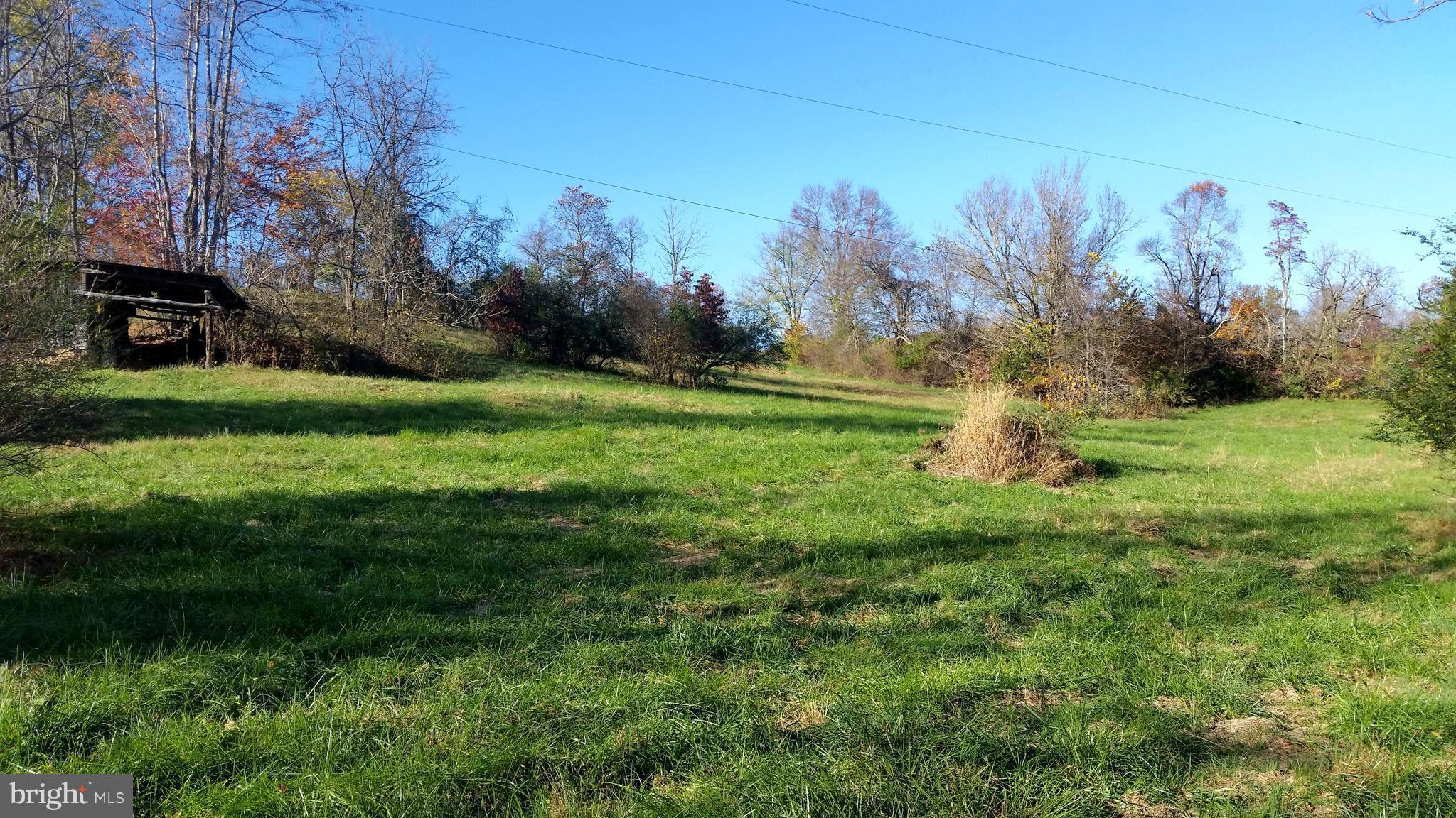 687 Scrabble Road Castleton, VA 22716 - Photo 9 of 13 a backyard of a house with lots of green space
