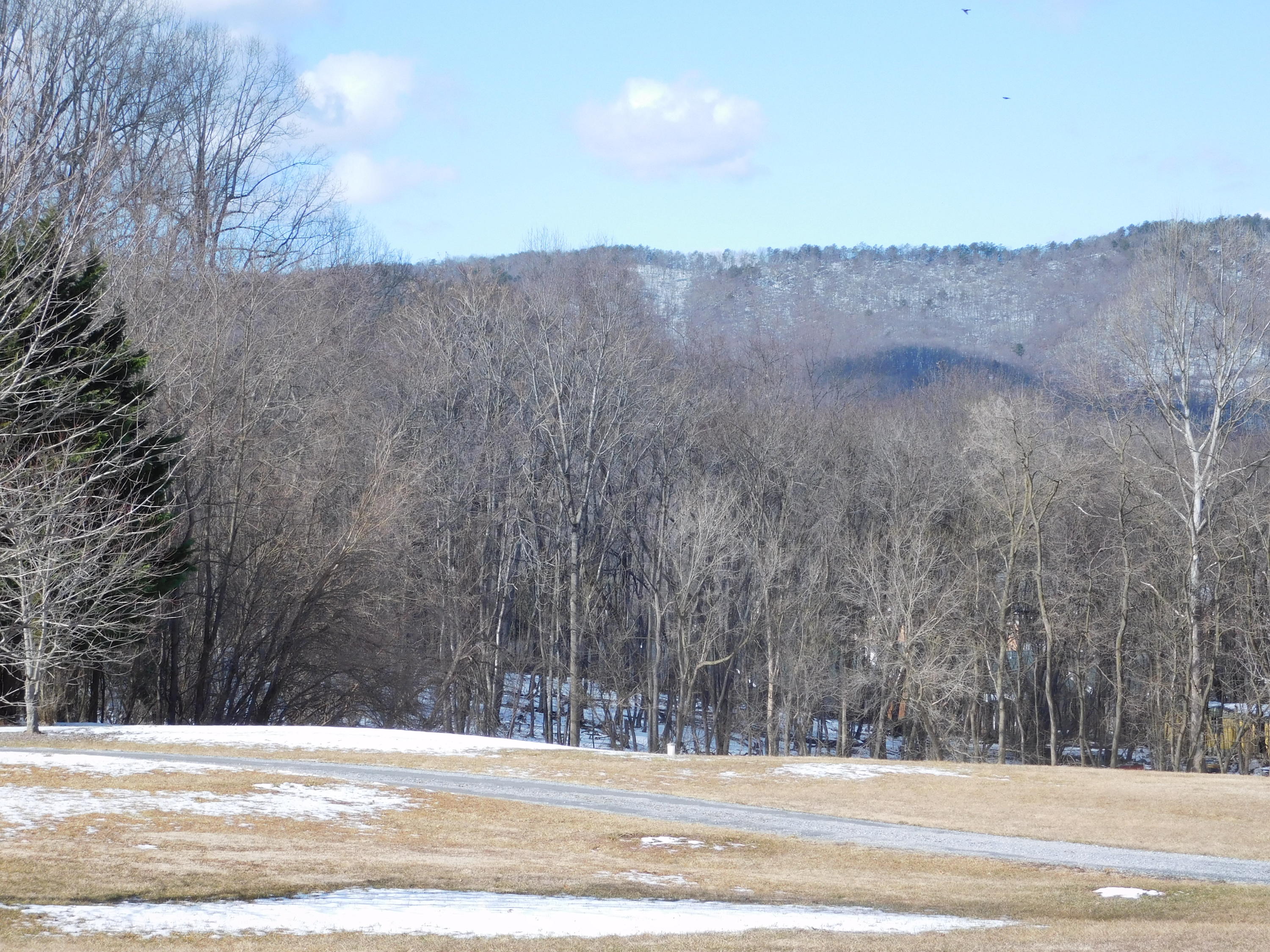 338 Wesley Road Daleville, VA 24083 - Photo 2 of 63 3.103 Acres