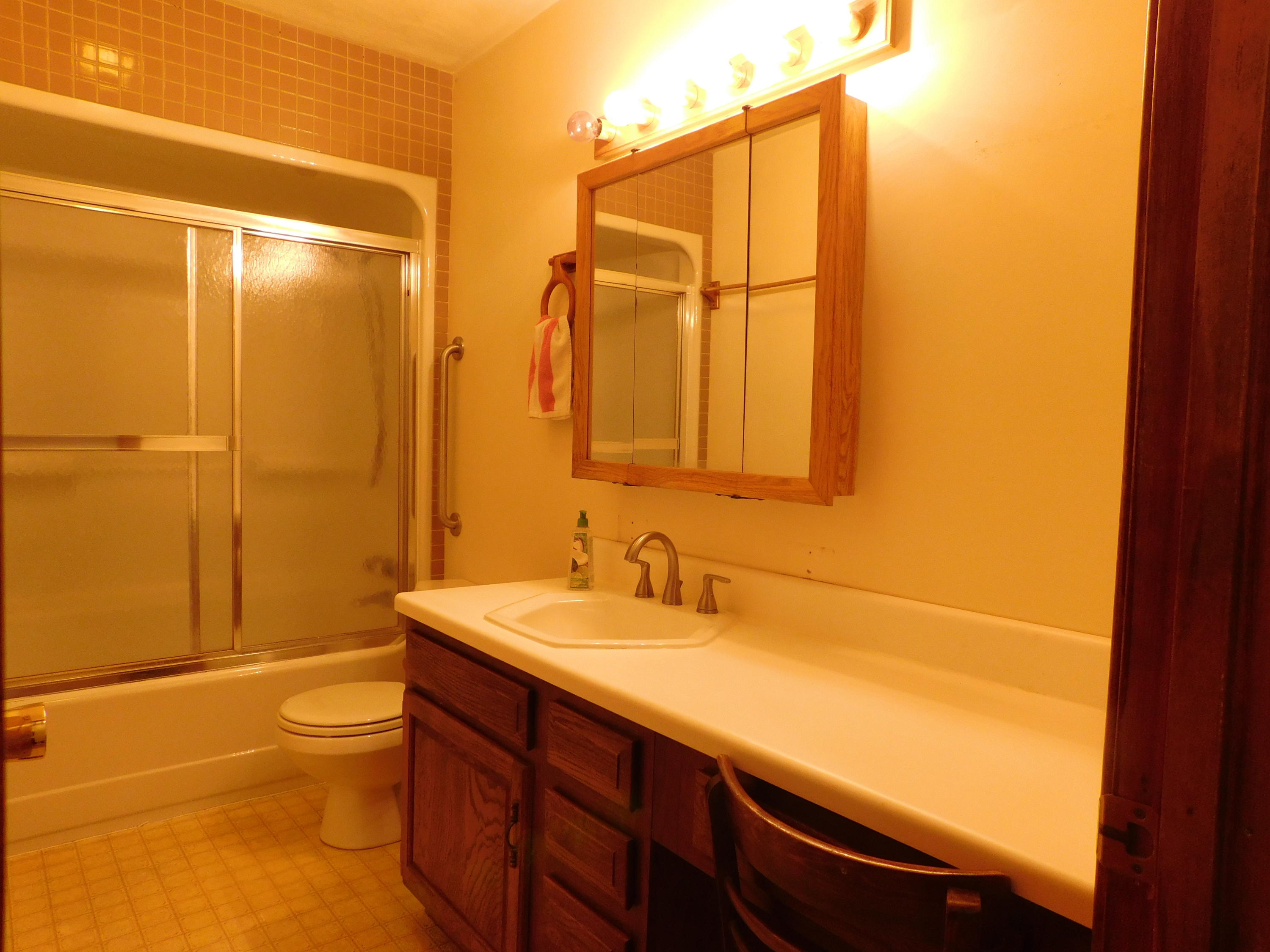338 Wesley Road Daleville, VA 24083 - Photo 23 of 63 Hall Bath (2)
