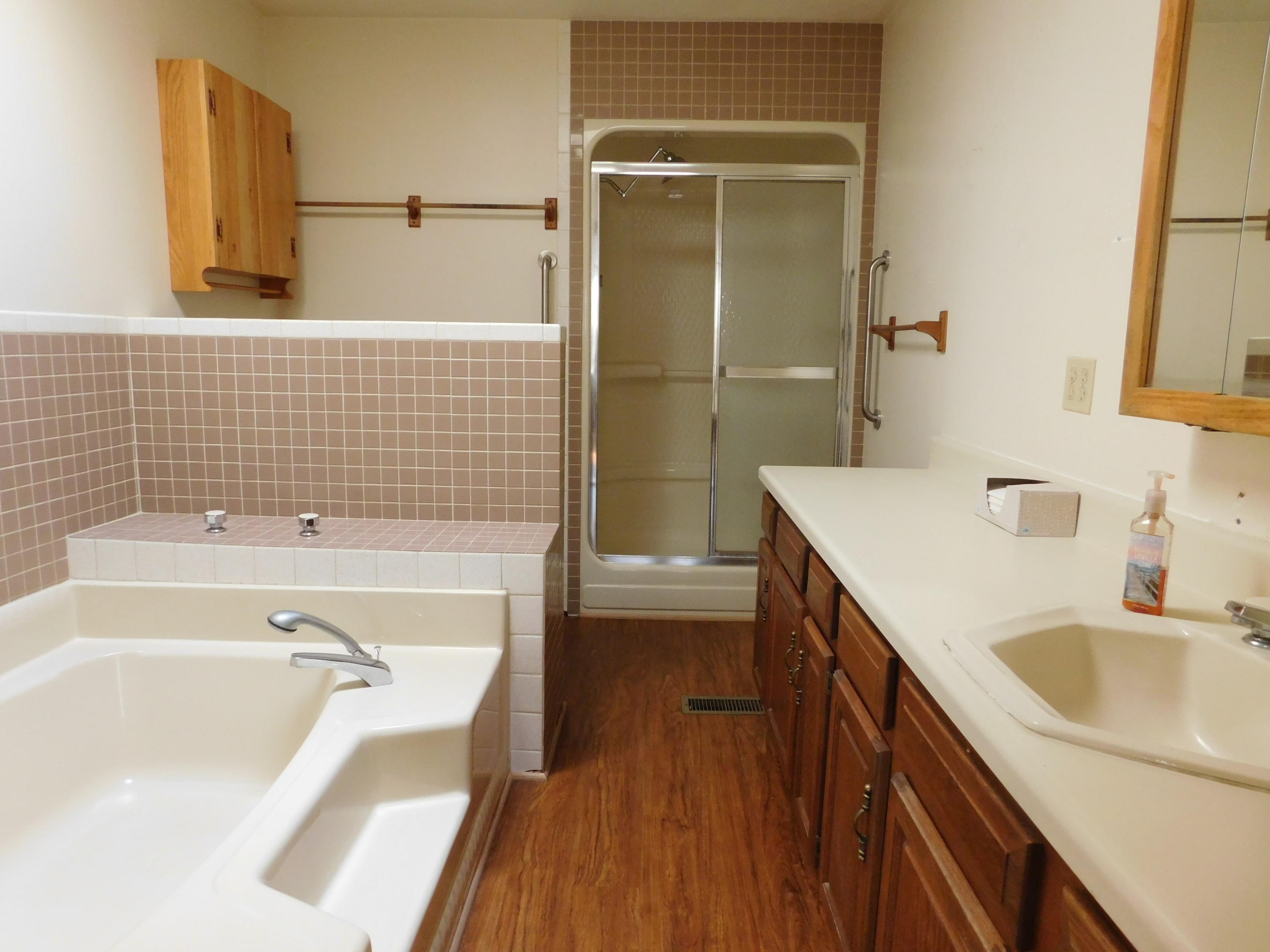 338 Wesley Road Daleville, VA 24083 - Photo 28 of 63 Master Bath (2)