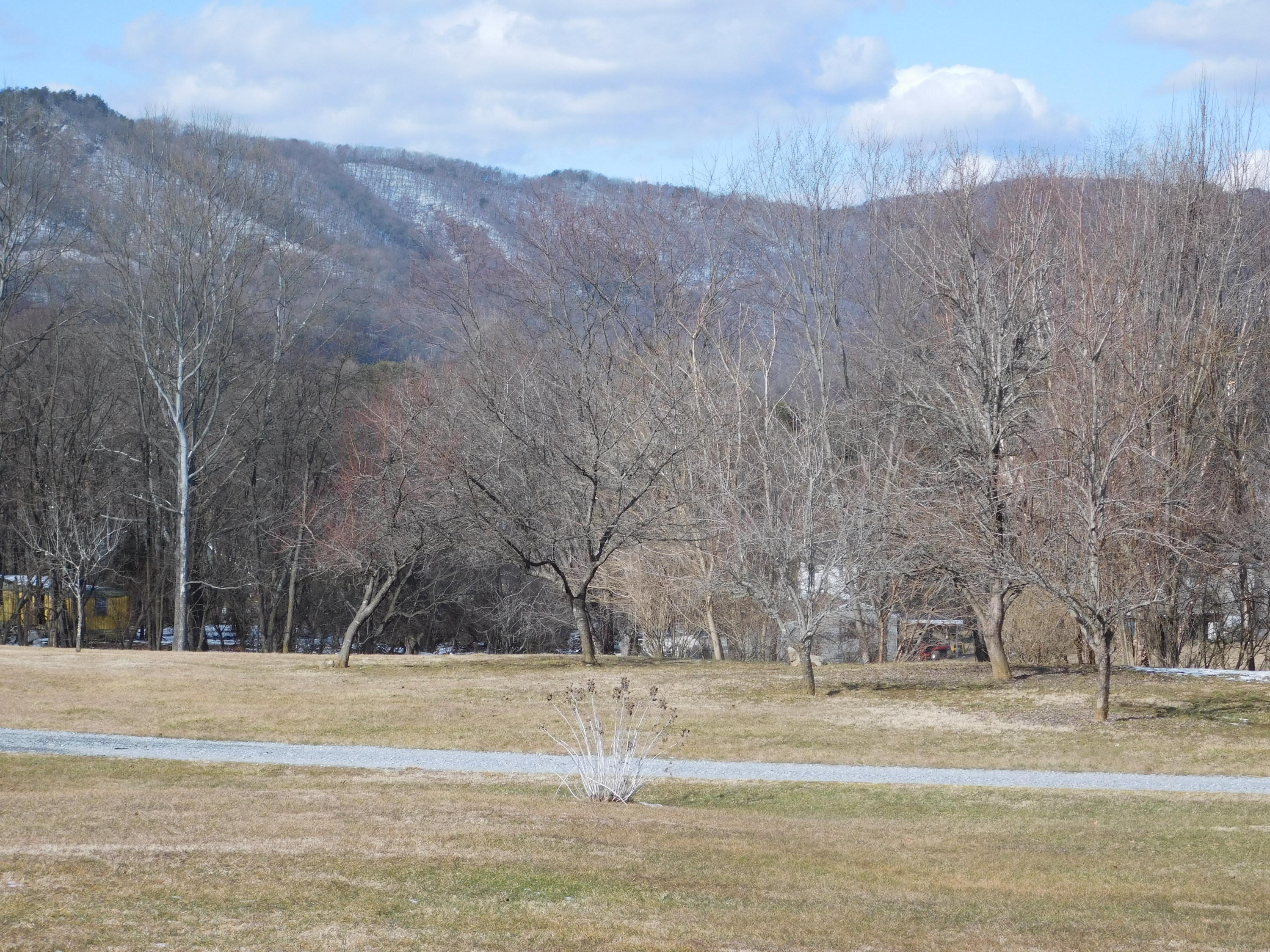338 Wesley Road Daleville, VA 24083 - Photo 57 of 63 Mountain Views