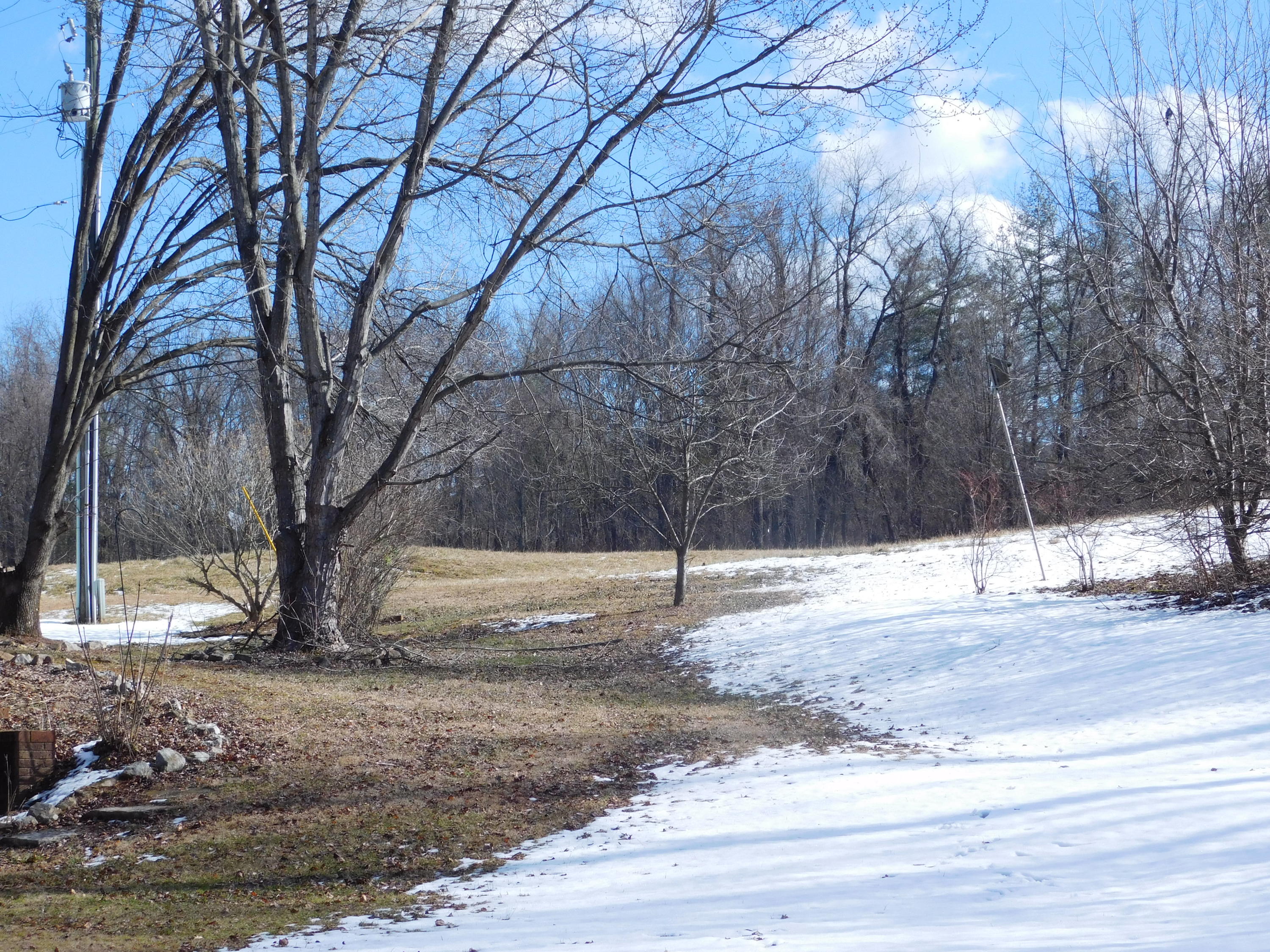 338 Wesley Road Daleville, VA 24083 - Photo 59 of 63 Side Yard (2)