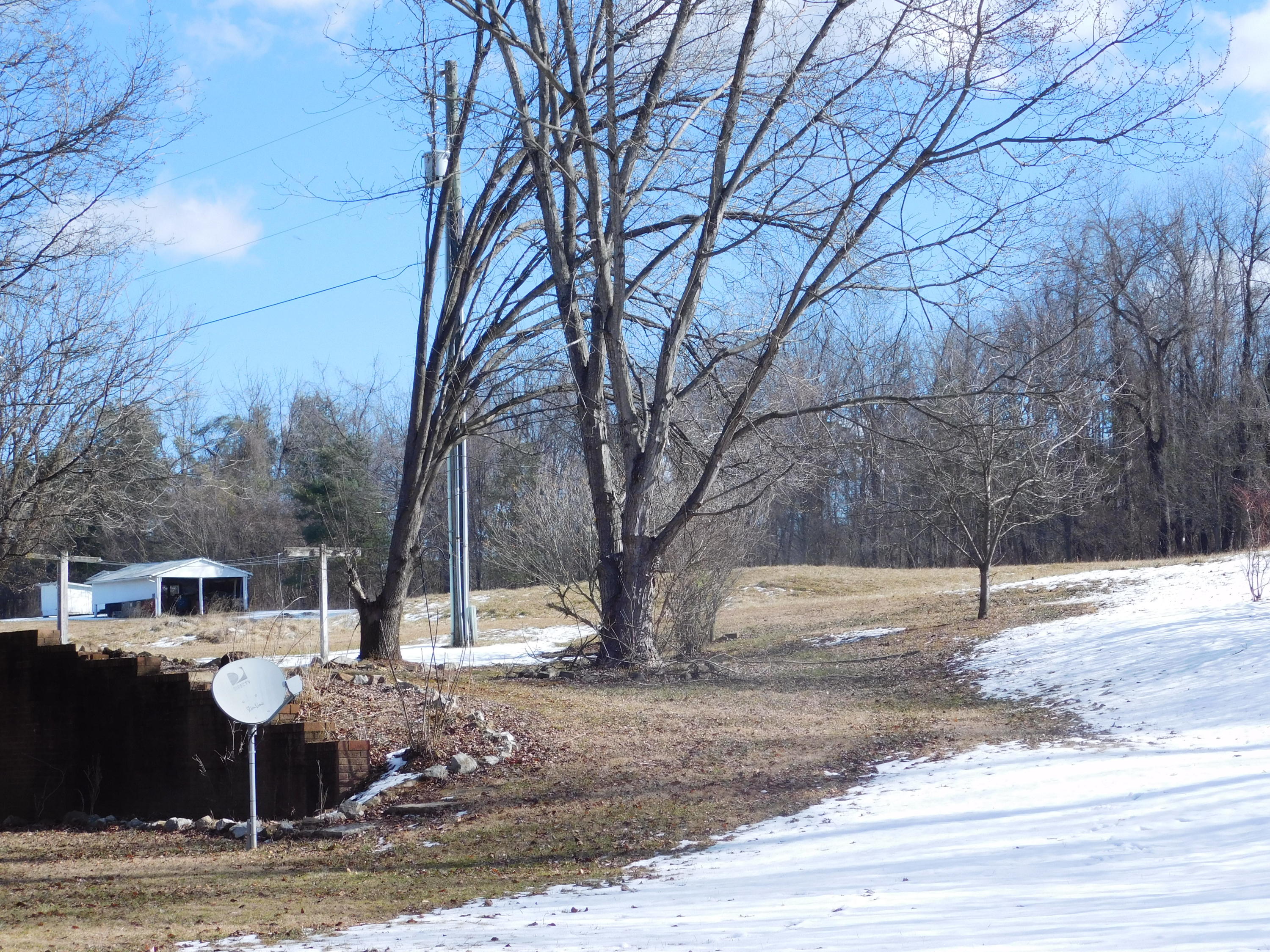 338 Wesley Road Daleville, VA 24083 - Photo 60 of 63 Side yard