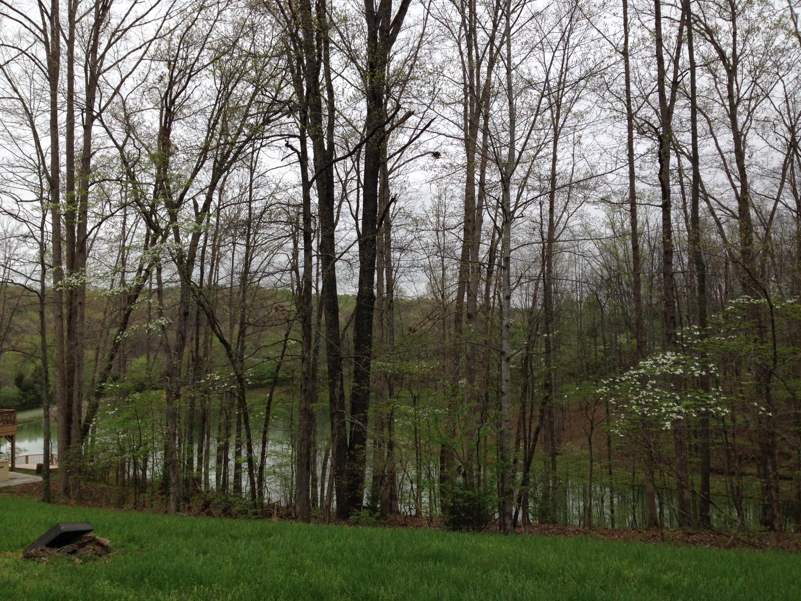 Dillon Road Forest Hill, WV 24935 - Photo 3 of 93 Gallery Image 3