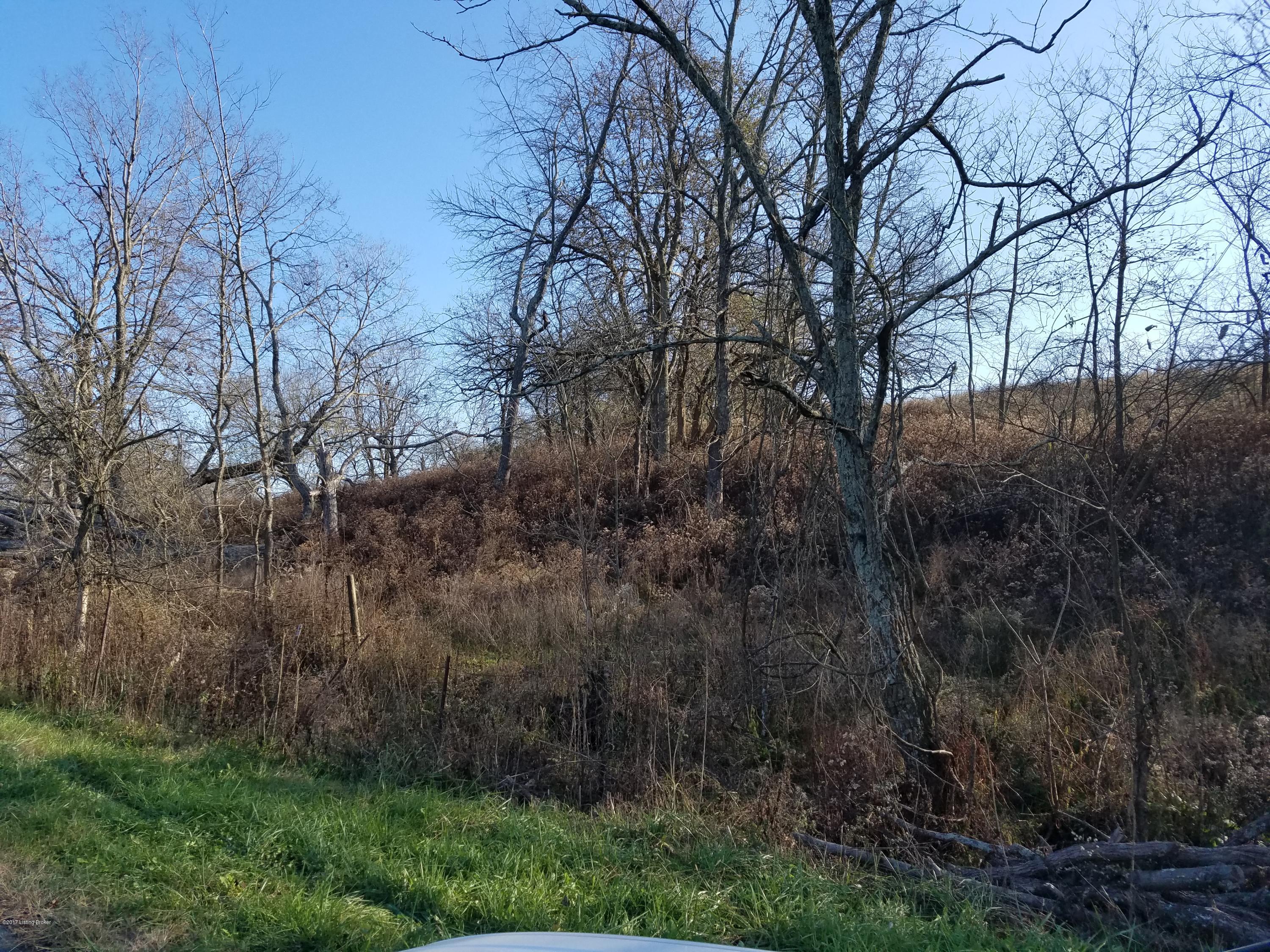 0 Jones Road Campbellsburg, KY 40011 - Photo 4 of 5 20171114_144916