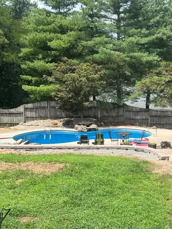a view of park with large trees