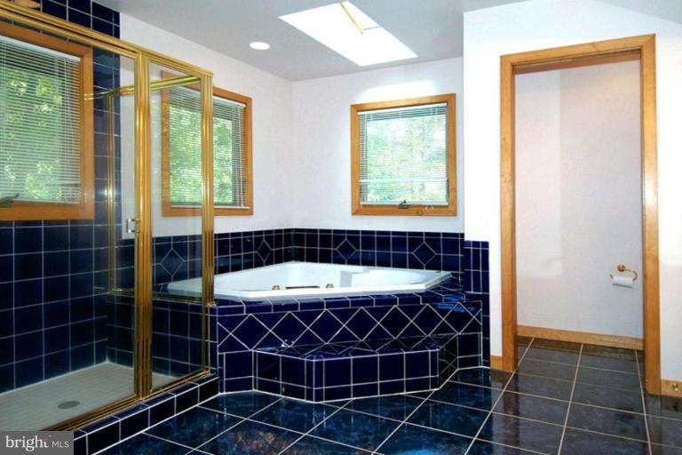 162 Windcliff Road Prince Frederick, MD 20678 - Photo 25 of 30 Master Bath #2