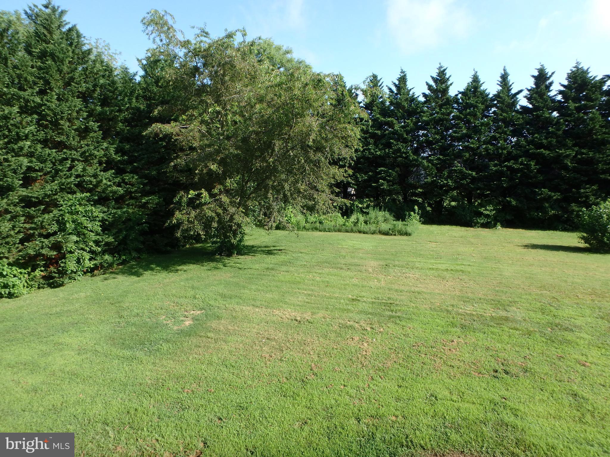 208 Myers Road Chestertown, MD 21620 - Photo 23 of 27 Yard rear from second story