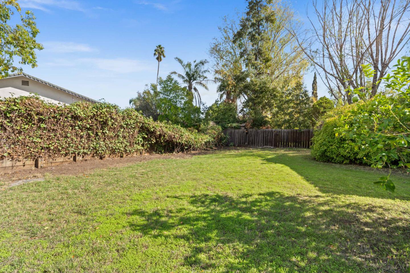 1706 Ayers Road Concord, CA 94521 - Photo 51 of 60 a view of a yard with a tree