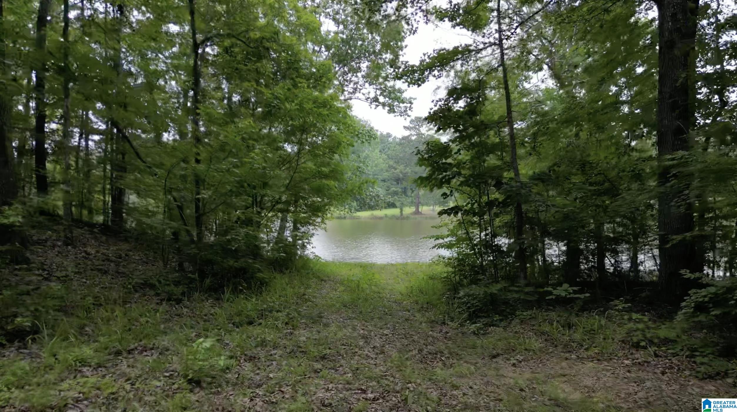 9600 Highway 77, Unit 1 Ohatchee, AL 36271 - Photo 8 of 18