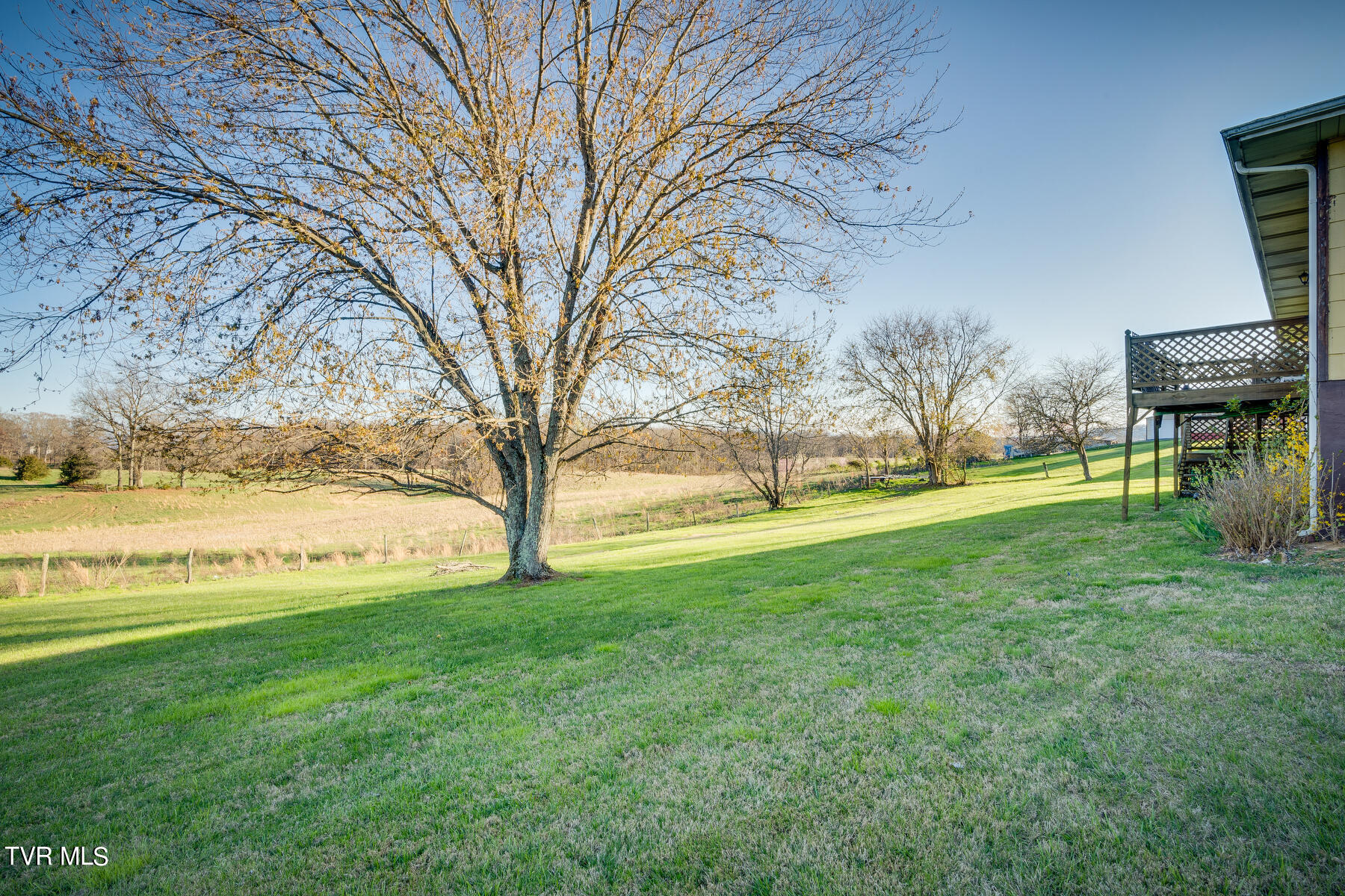 288 Butchertown Road Fall Branch, TN 37656 - Photo 29 of 35 029