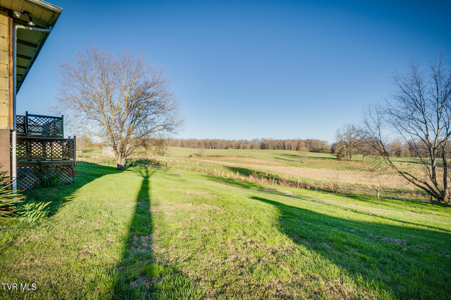 288 Butchertown Road Fall Branch, TN 37656 - Photo 33 of 35 033