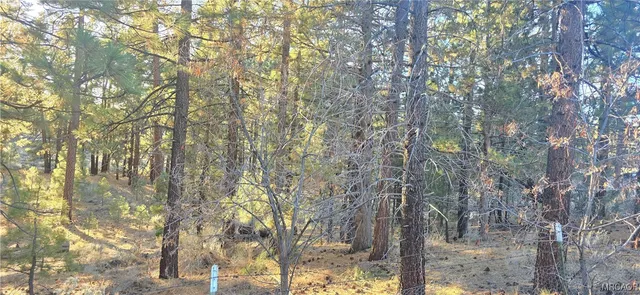 a view of outdoor space