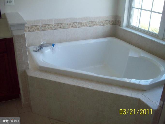 41950 Beryl Terrace Stone Ridge, VA 20105 - Photo 12 of 19 Master Bath