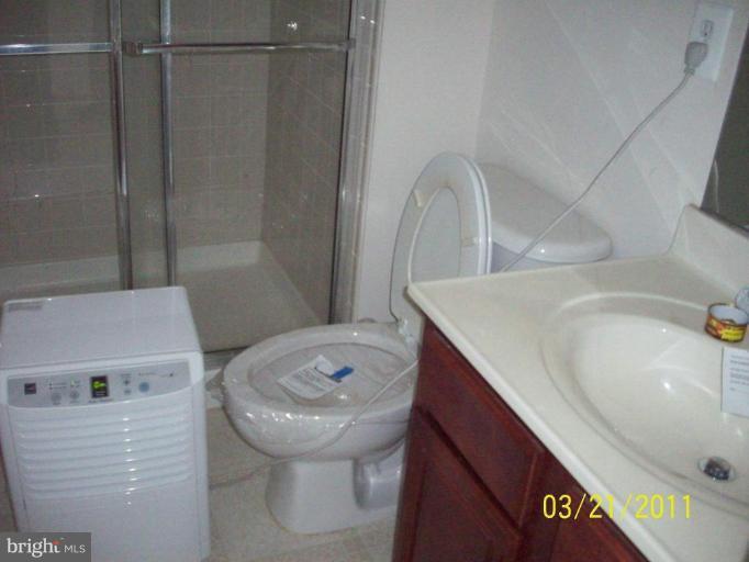 41950 Beryl Terrace Stone Ridge, VA 20105 - Photo 14 of 19 Bath #3