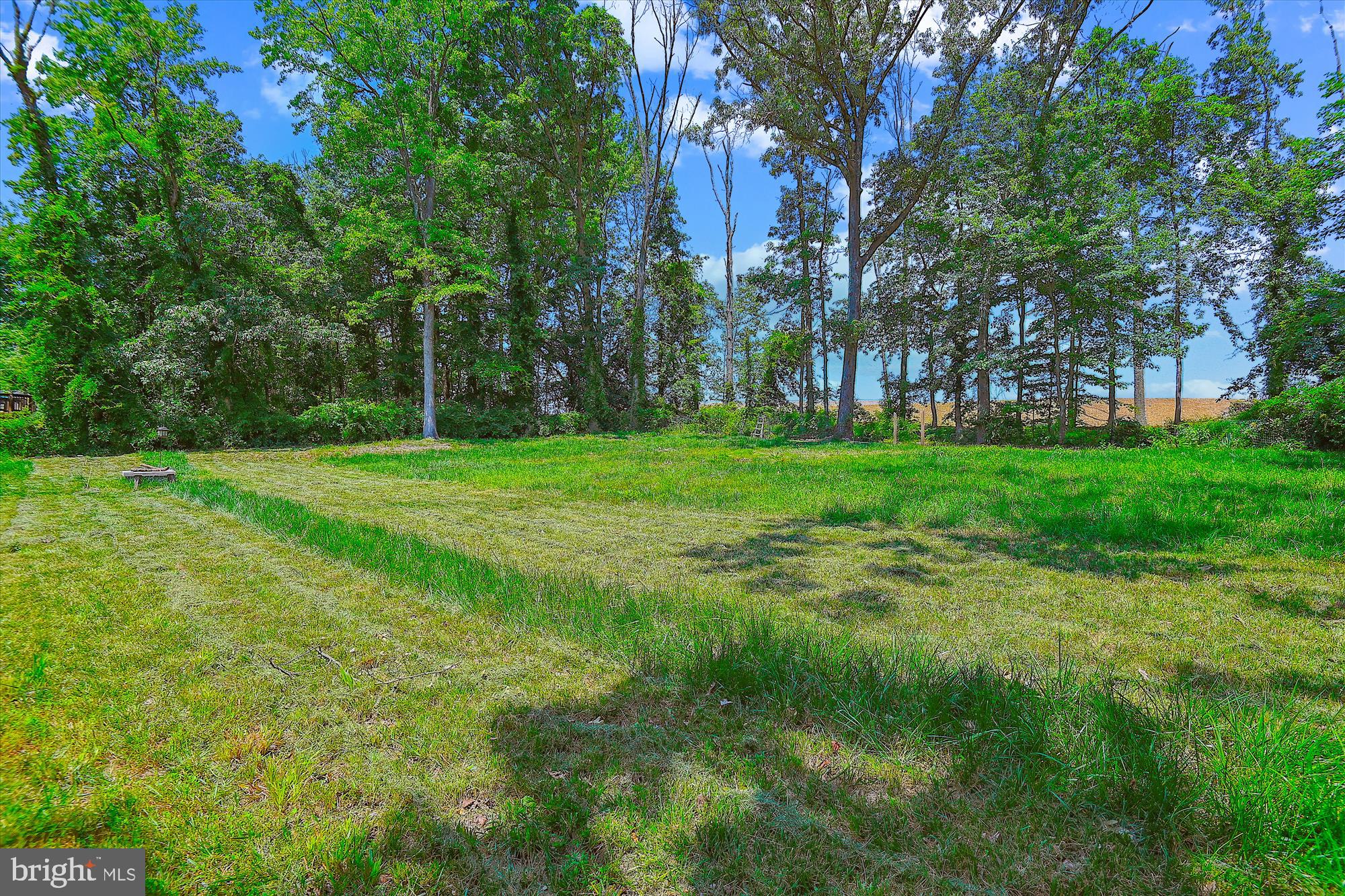 1010 Hanson Road Joppa, MD 21085 - Photo 34 of 40 Back Yard