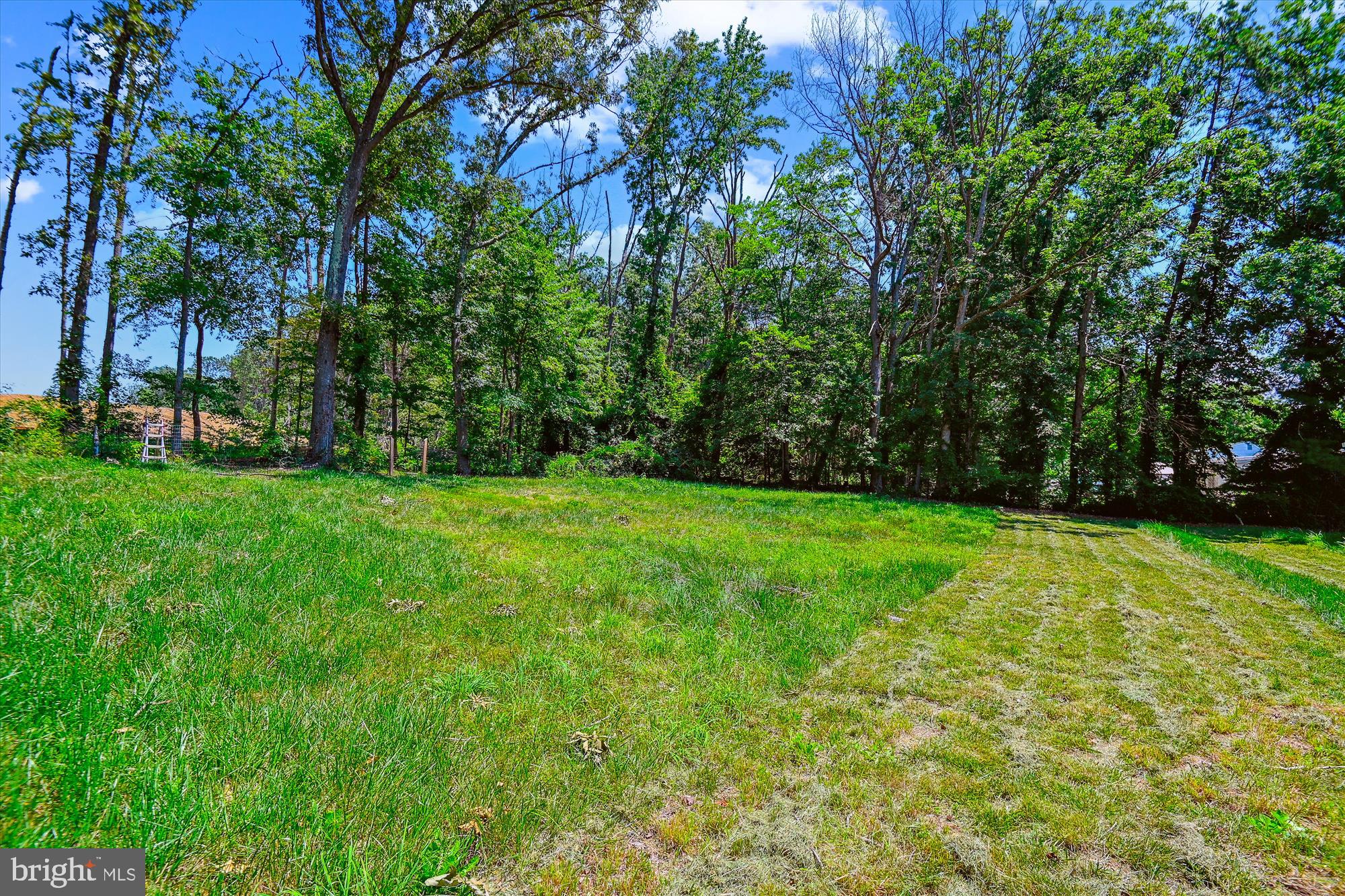 1010 Hanson Road Joppa, MD 21085 - Photo 35 of 40 View From Back