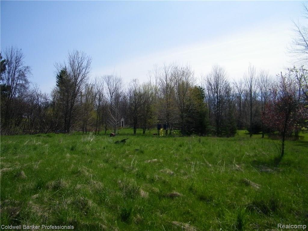 5194 Jones Road North Branch, MI 48461 - Photo 16 of 17