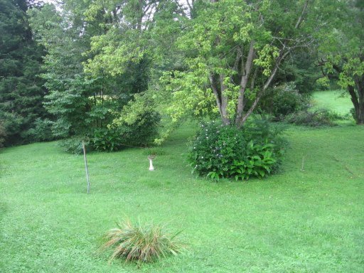 404 Ridgeview Drive Clinton, TN 37716 - Photo 8 of 13 Additional Photo