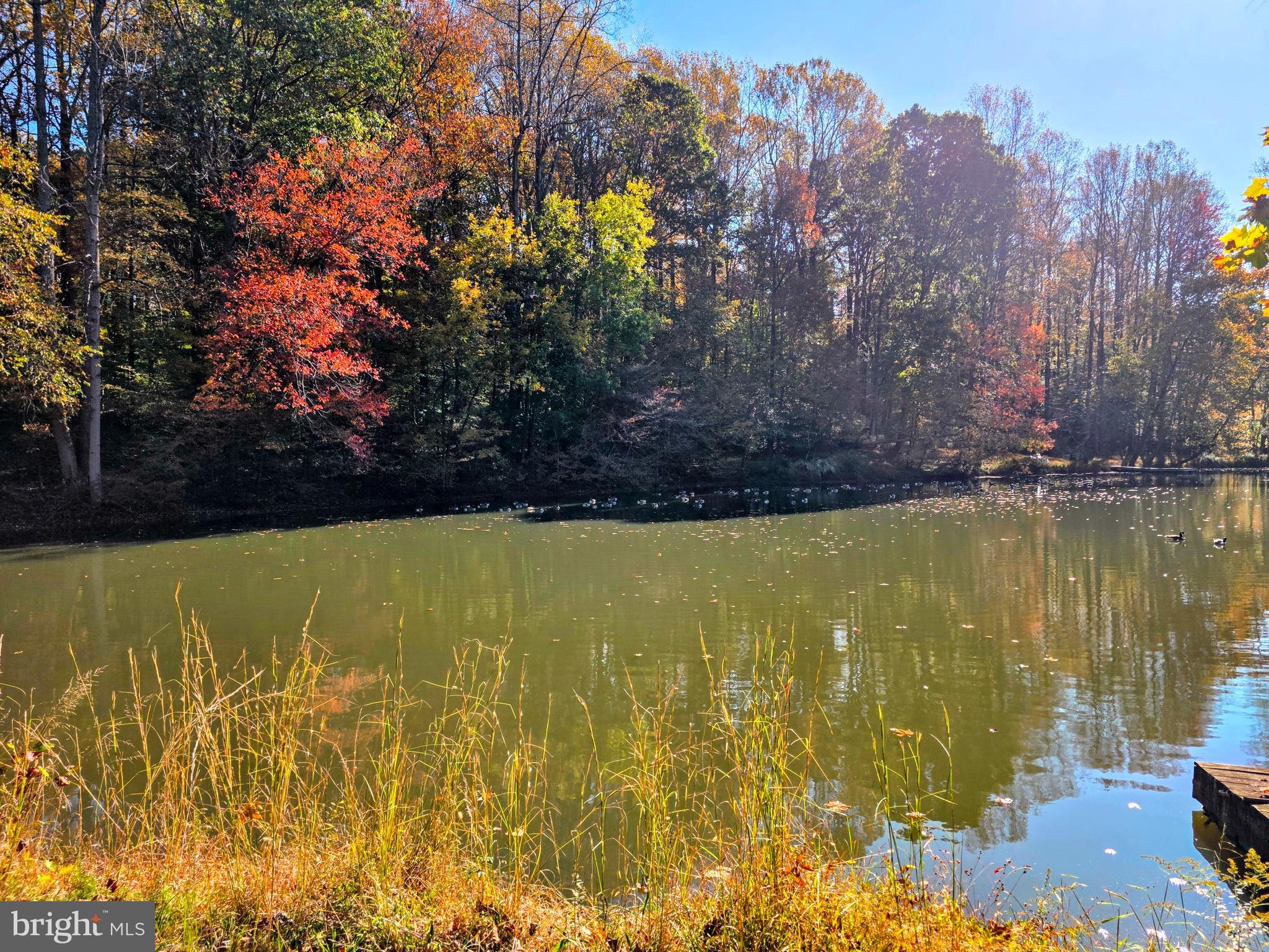 520 Chesapeake Beach Road Owings, MD 20736 - Photo 37 of 69 Awesome Pond in your Back Yard!