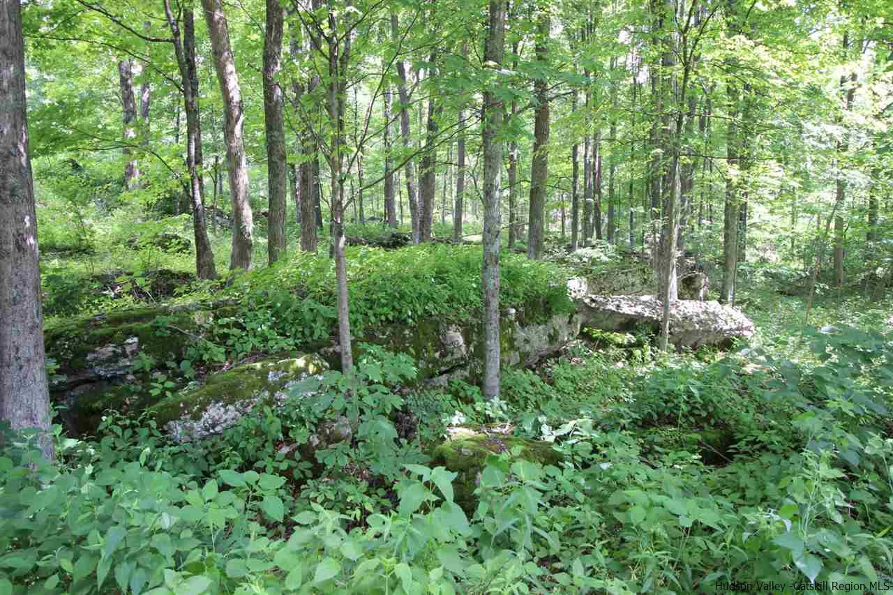 747 Green Lake Road Catskill, NY 12414 - Photo 19 of 22 Photo 19
