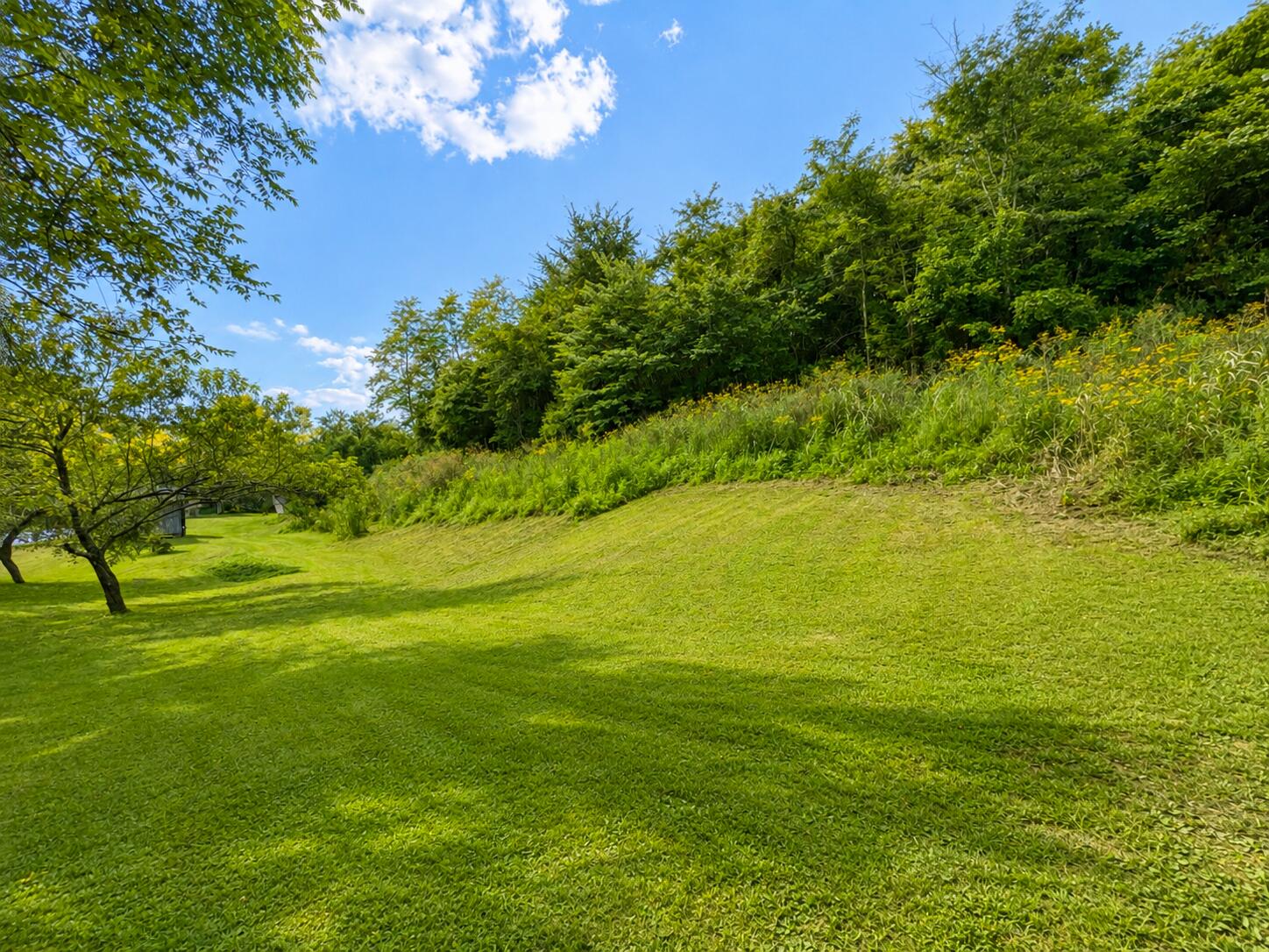 3067 South Ripley Road Maysville, KY 41056 - Photo 60 of 64 A40B9802-21EB-40E9-943A-2EB75454F911