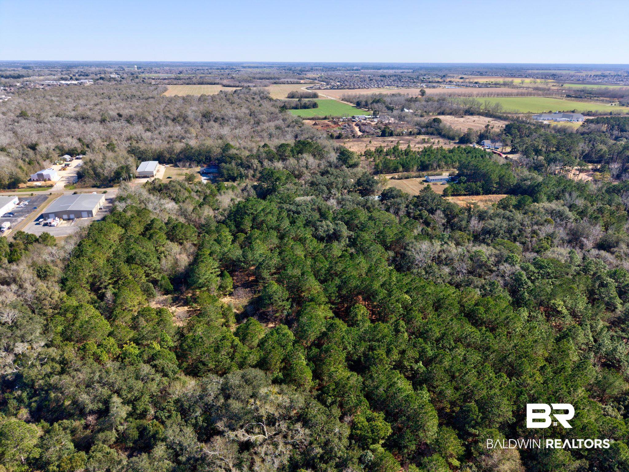 25280 Friendship Road Daphne, AL 36526 - Photo 11 of 34 Aerial view of property's location featuring a forest