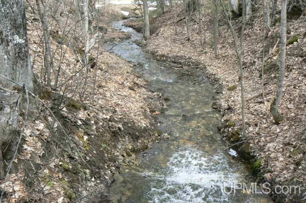 Tbd Country Lane Road Skandia, MI 49826 - Photo 18 of 33