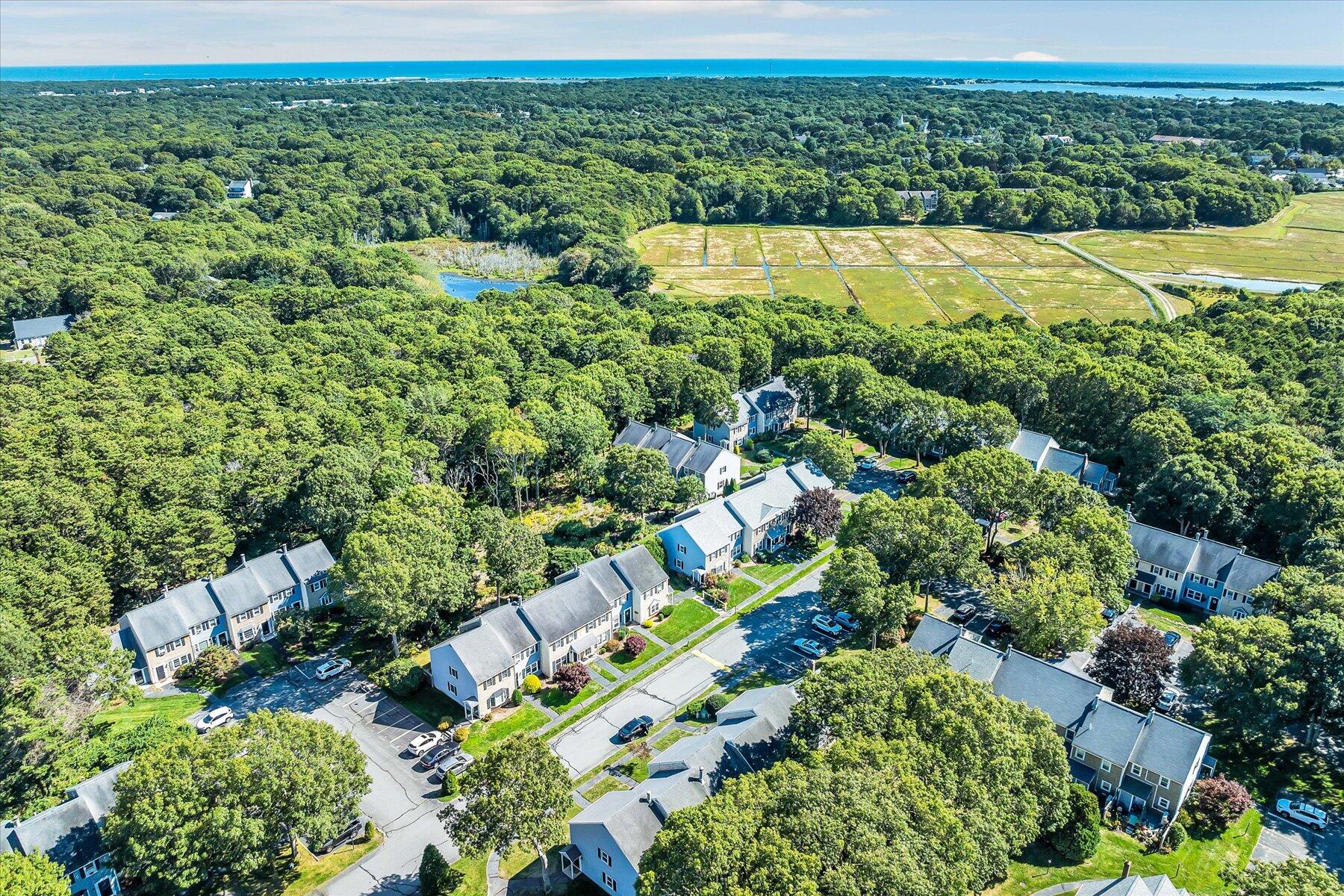 441 Buck Island Road, Unit B1 West Yarmouth, MA 02673 - Photo 28 of 31 a view of a lush green field with plants