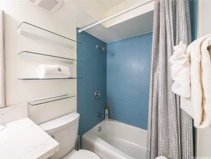 a bathroom with a toilet and a bathtub