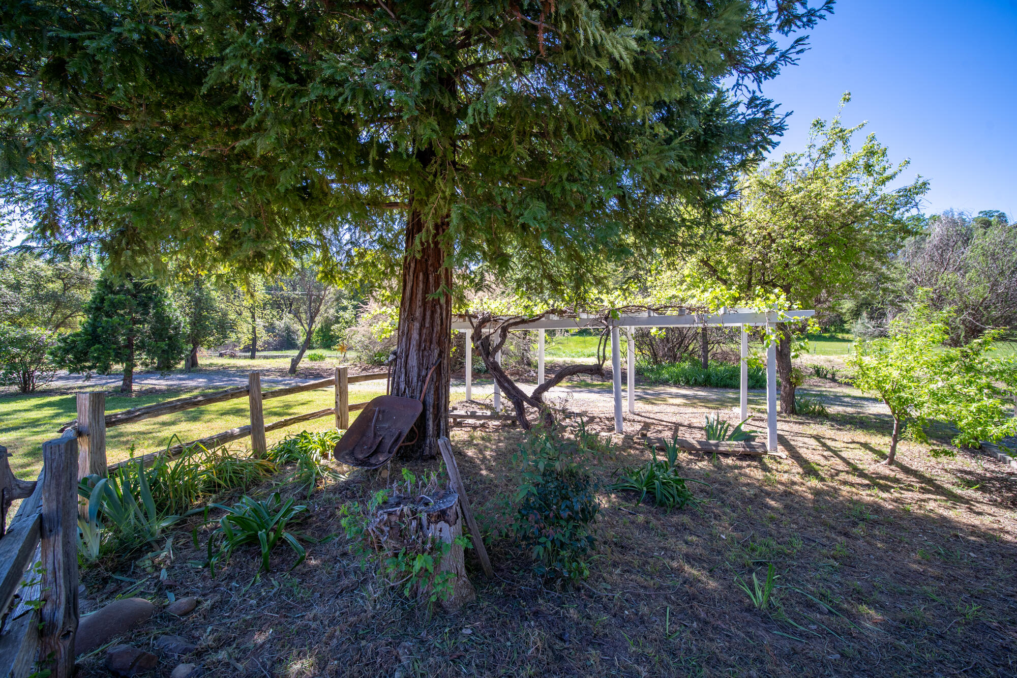 21334 Dersch Road Anderson, CA 96007 - Photo 51 of 63 21334 Dersch Rd - Exterior -13