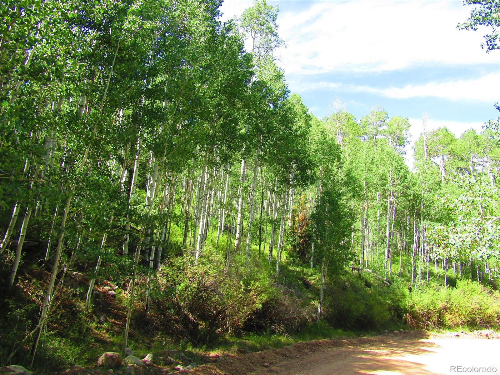 Lot 6295 Malcolm Road San Luis, CO 81152 - Photo 10 of 31