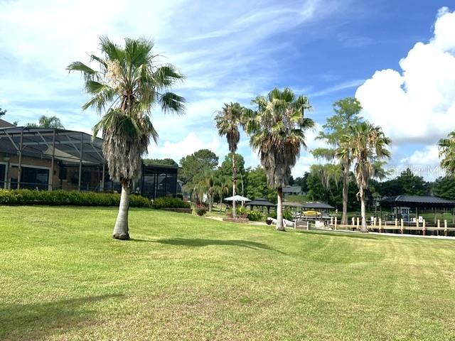 11325 Preston Cove Road Clermont, FL 34711 - Photo 52 of 58 a garden with palm trees