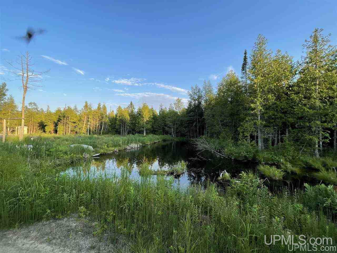 2374 S Carlson Road Manistique, MI 49854 - Photo 4 of 18 Gallery Image 4