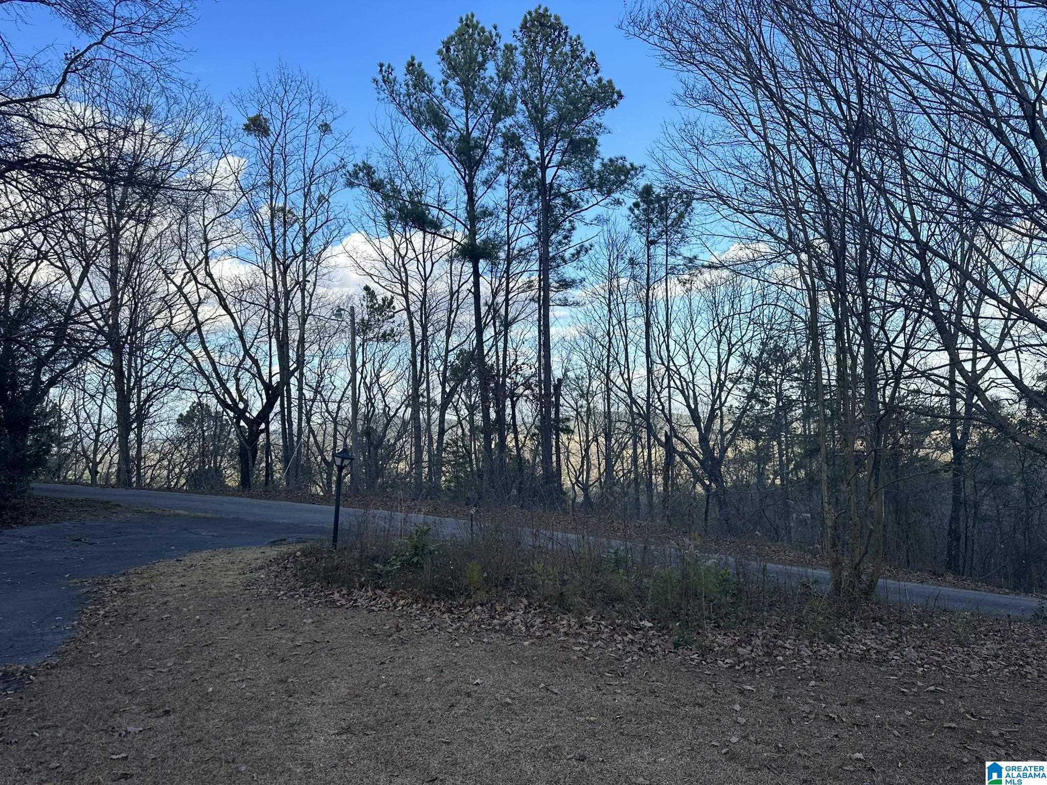 5 Hilltop Road Sylacauga, AL 35150 - Photo 6 of 11