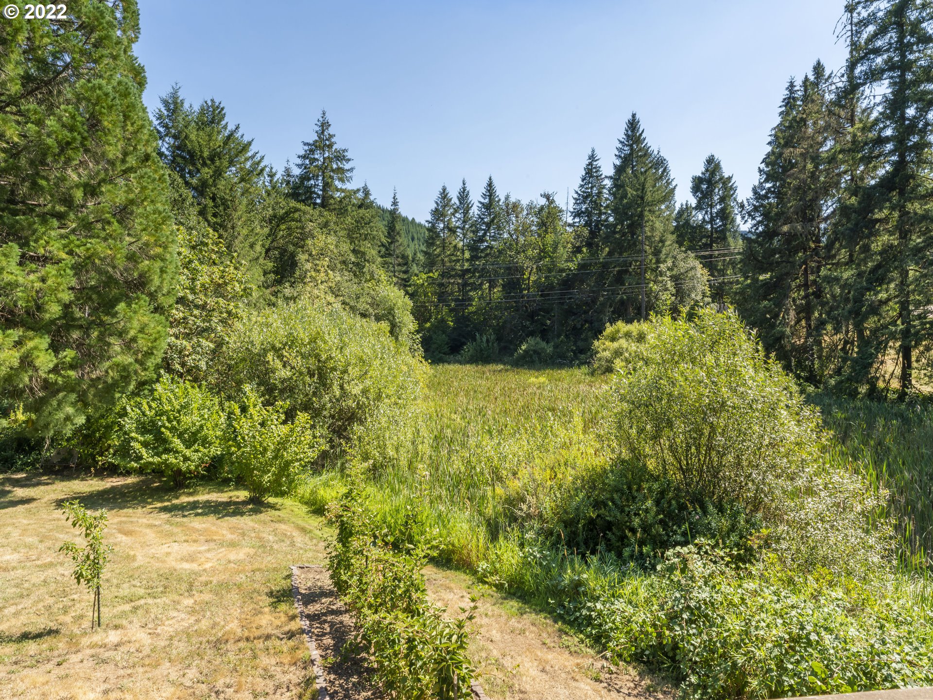 3530 Highway 38 Drain, OR 97435 - Photo 23 of 32 a view of a yard with large trees