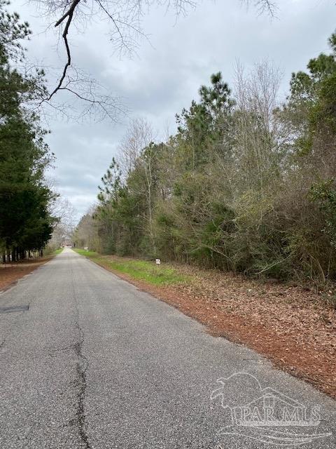 4 Green Rowell Road Jay, FL 32565 - Photo 3 of 17 Gallery Image 3
