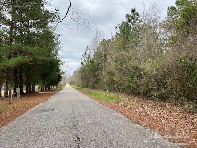 4 Green Rowell Road Jay, FL 32565 - Photo 4 of 17 Gallery Image 4
