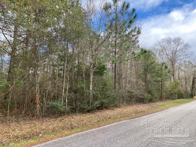 4 Green Rowell Road Jay, FL 32565 - Photo 5 of 17 Gallery Image 5