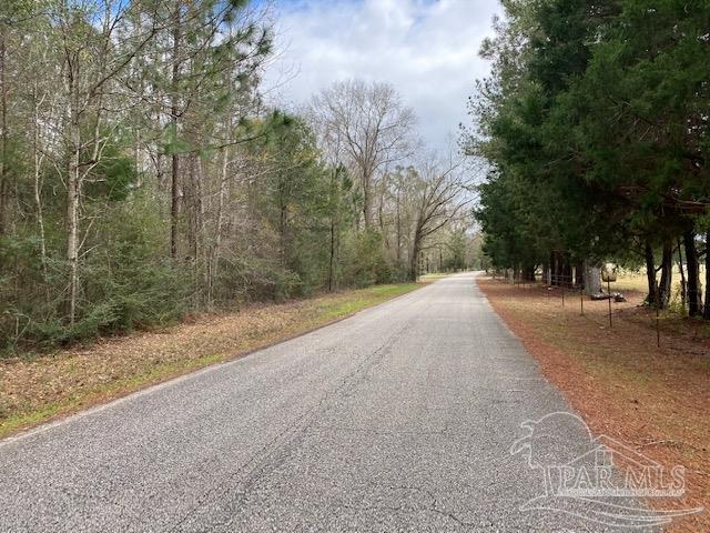 4 Green Rowell Road Jay, FL 32565 - Photo 6 of 17 Gallery Image 6