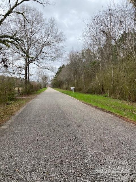 4 Green Rowell Road Jay, FL 32565 - Photo 8 of 17 Gallery Image 8