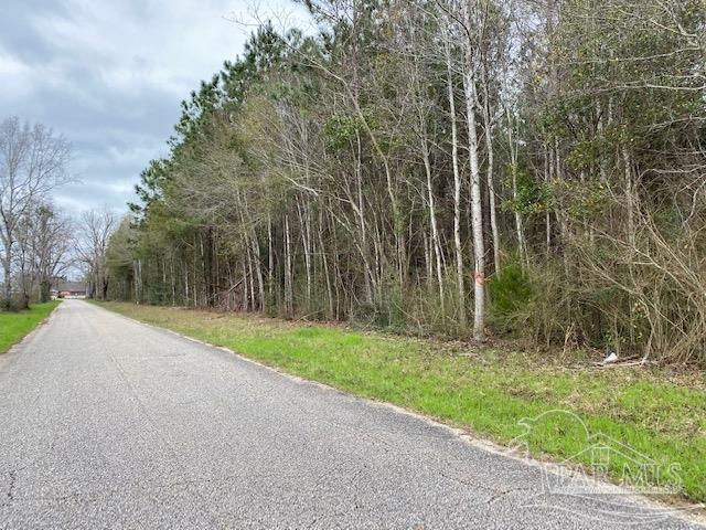 4 Green Rowell Road Jay, FL 32565 - Photo 10 of 17 Gallery Image 10