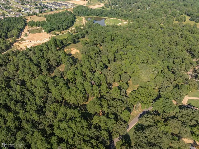 a view of a forest with a houses