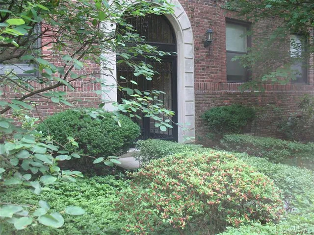 a view of a backyard with plants