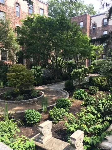 a view of a garden with plants and large trees