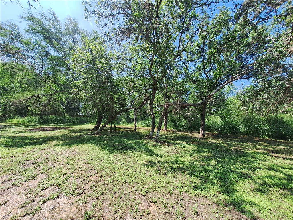0 County Road Robstown, TX 78380 - Photo 12 of 17
