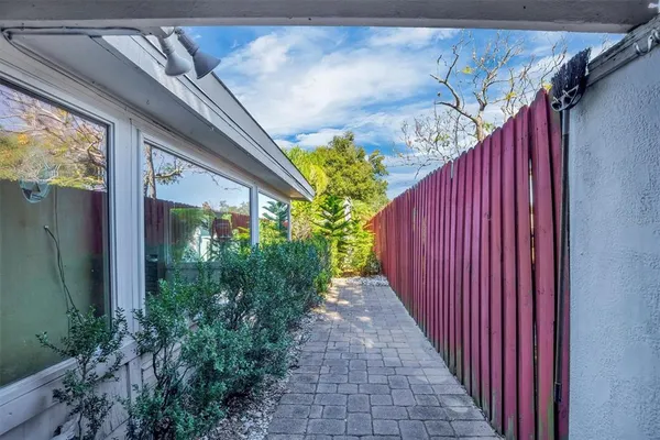 a view of a yard with plants and large trees