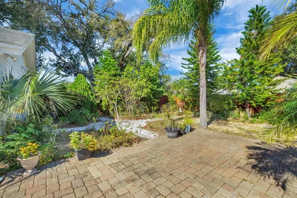 a view of a backyard with plants