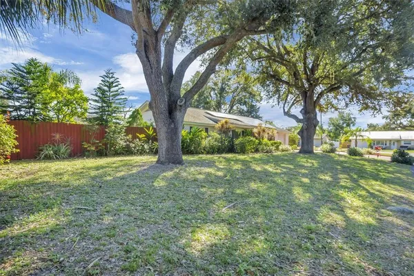 a view of a yard with a tree
